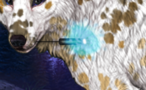 Capture.png