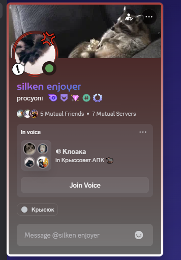 Discord ZZtwL4woza.png