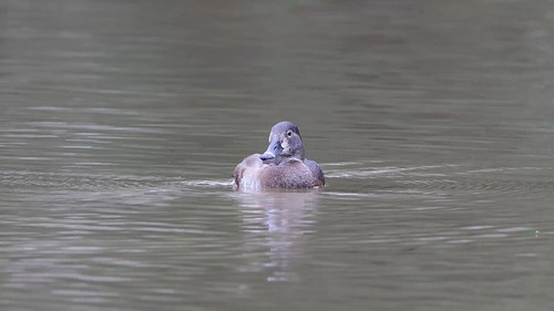 Wv ASbEv4zQsQsgF.jpg