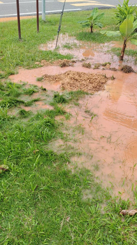 WhatsApp Image 2025 12 17 at 8.06.13 PM.jpg