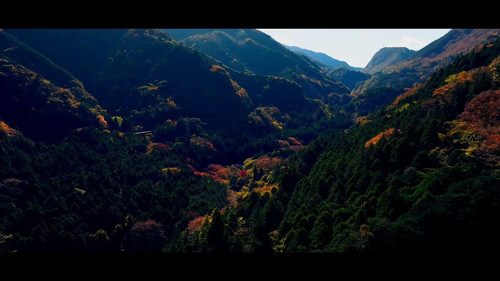 IdURXWF ZT2fSWEH.jpg