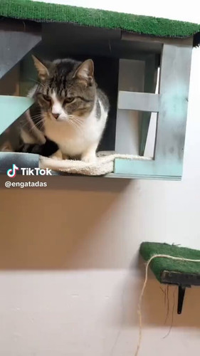 jCHTuJfuMjQJyCYv.jpg