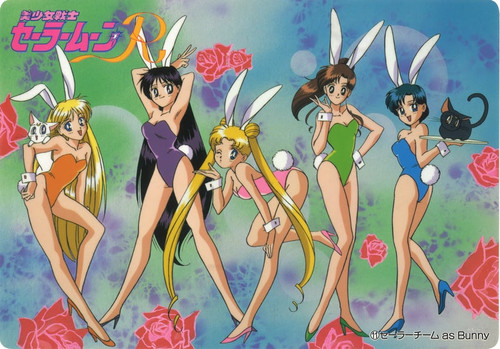  tsukino usagi mizuno ami aino minako hino rei kino makoto and 2 more bishoujo senshi sailor moon an.jpg