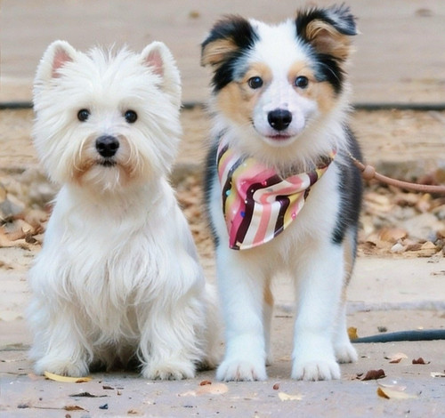 IMG 20251217 163251.jpg