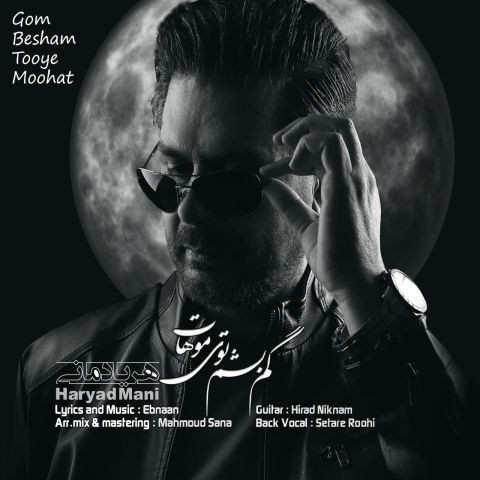 دانلود آهنگ هریاد مانی به نام گم بشم توی موهات