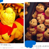 IMG 4741.png