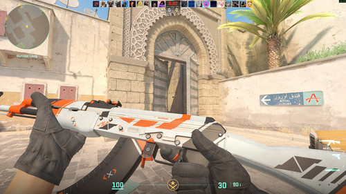 cs2 TSJ7rfl23X.jpg