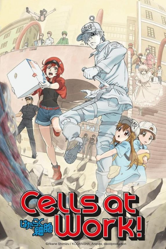 Cells at Work Season 1 Multi Audio Hindi Dub Download CoolToonsIndia