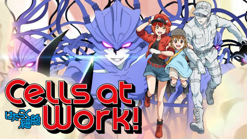 cells at work 61e6cb50a1bd5.jpg
