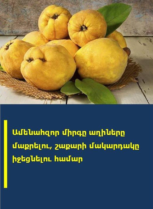 598752097 1410554624193017 7411080784090905918 n.jpg? nc cat=107&ccb=1 7& nc sid=833d8c& nc ohc=aNxG.jpg