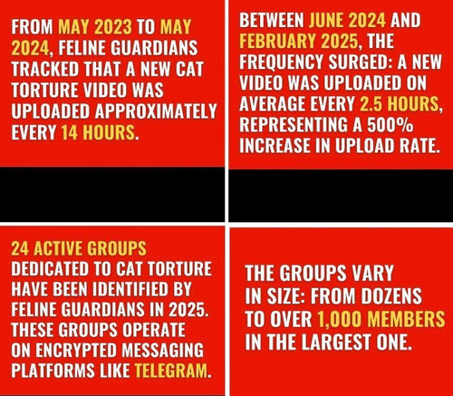 G8Y z6AWsAAyvPx.jpg