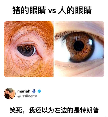 img 17508557468735101cedd42543b4a0a8ea44ebb4fe4591f6c9cdc51036a5583c3aea85e5009fc edit 1806843440624.jpg