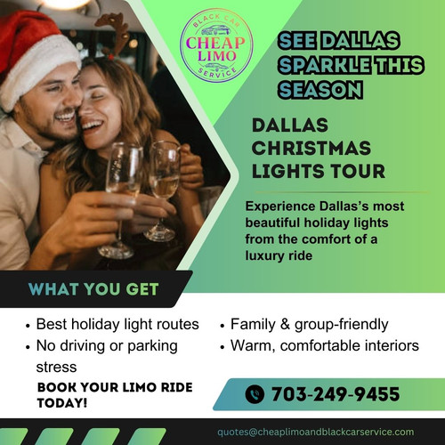 Dallas Christmas Lights Tour.jpg