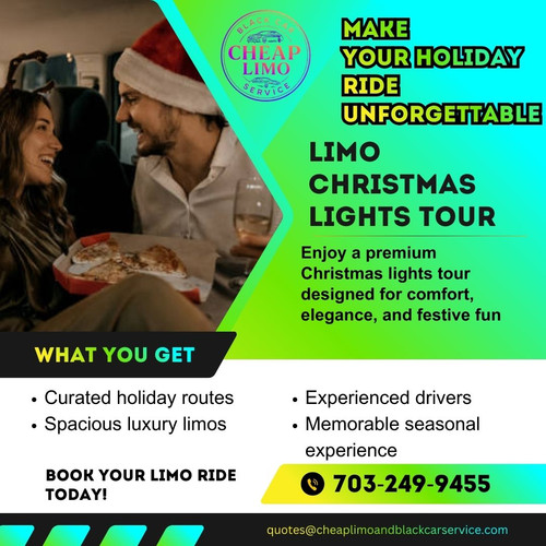 Limo Christmas Lights Tour.jpg