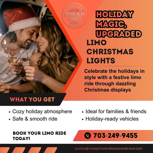 Limo Christmas Lights.jpg