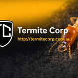 Termite Corp