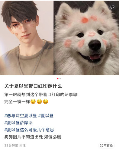 Picsew 20251216115922.jpg