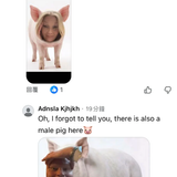1766022226510.png