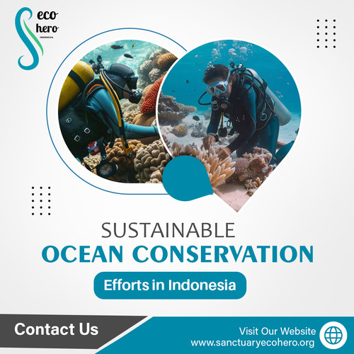 Sustainable Ocean Conservation Efforts in Indonesia.jpg