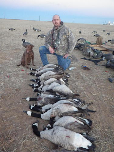 Goose Hunting Colorado - Birds and Bucks Outdoors.jpg