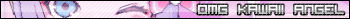 IMG 5344.png