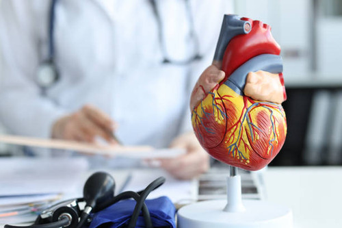 Best Cardiologist in Vadodara | Rhythm Heart Institute.jpg