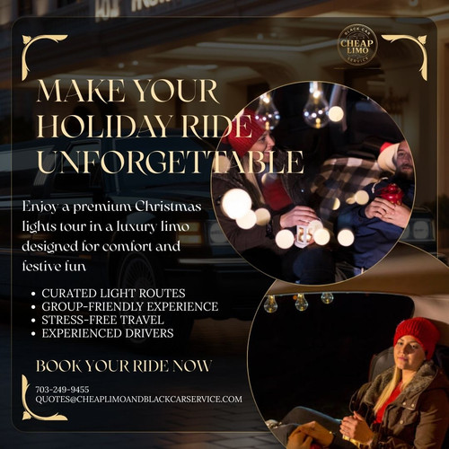 Limo Christmas Lights Tour.jpg