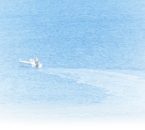 67917.png