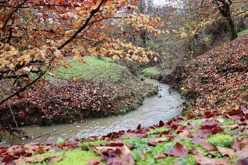 599951536 1279077887596666 5774924051310693851 n.jpg?stp=cp6 dst jpg s590x590 tt6& nc cat=109&ccb=1 .jpg