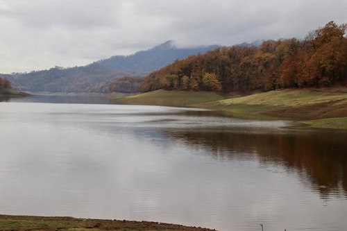 597897355 1279077880930000 2313337094318292007 n.jpg?stp=cp6 dst jpg s590x590 tt6& nc cat=106&ccb=1 .jpg