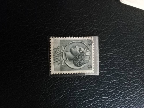 967a5abb2cc5.jpg