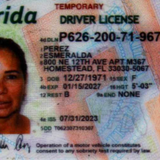Esmeralda Perez license image.png