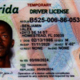 Alex Benjamin license image.png