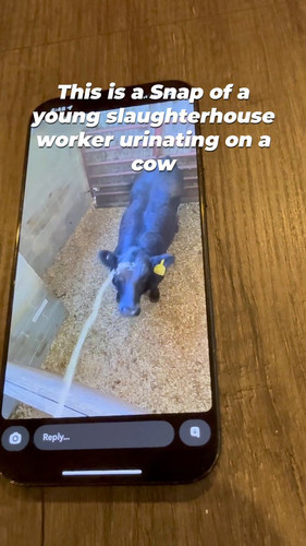 ZagJ6BoNPAX02o 7.jpg