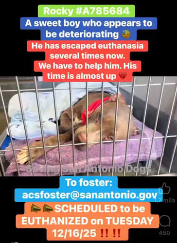 6Gh82GOb CBOBE8k.jpg