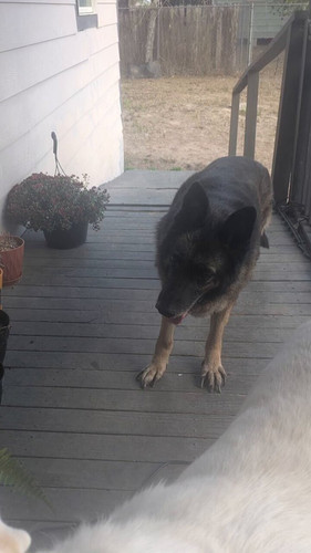 YnjytX NP8hbH5jv.jpg