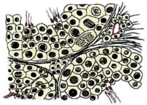 Screenshot (141).png