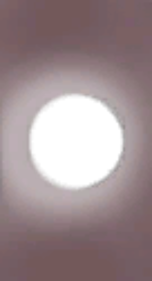 sclera (1).png