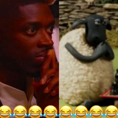 BoDB BnPes zohM6.jpg