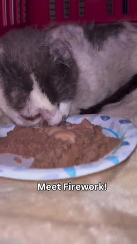 Yr7zrfRSa bmJvAl.jpg