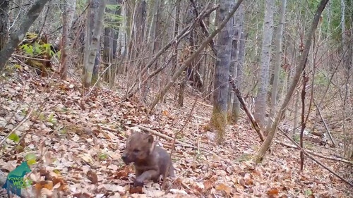 q yjfEJs9ipfaYgZ.jpg