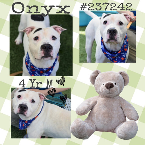 G6dnTXbXYAAfjZ ?format=jpg.jpg