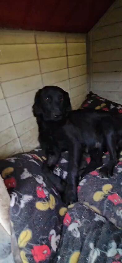 I15igxrSMGq LrLv.jpg