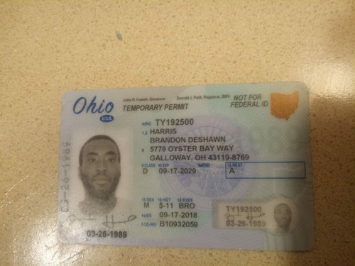 Brandon D Harris license.jpg