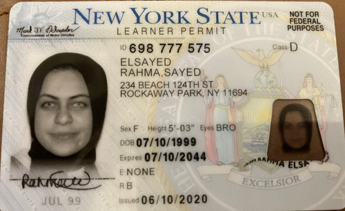 Rahma Elsayed license.jpg