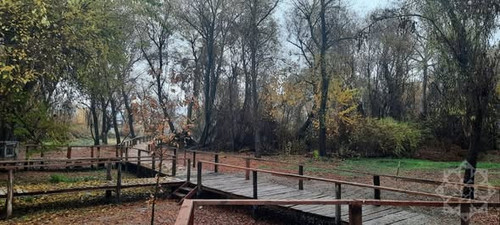 598799413 1305917078231235 353243063580775733 n.jpg?stp=dst jpg s590x590 tt6& nc cat=102& nc cb=99be.jpg