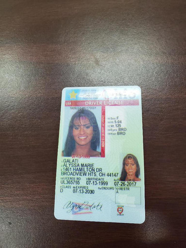 Alyssa M Galati license.jpg