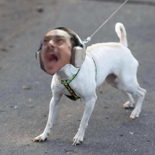 not8perro.png