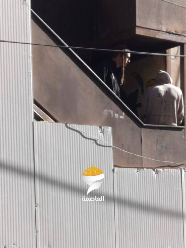 بعد أن أجبرهم الاحتلال على إخلائه قسرا وطردهم منه، استولى مستوطنون على منزل المقدسية أم ناصر الرجبي في حي بطن الهوى ببلدة سلوان جنوب المسجد الأقصى....