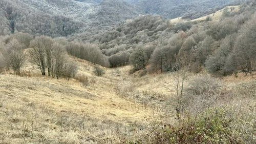 598340430 1279752117529243 6813322503462307464 n.jpg?stp=cp6 dst jpg s590x590 tt6& nc cat=110&ccb=1 .jpg